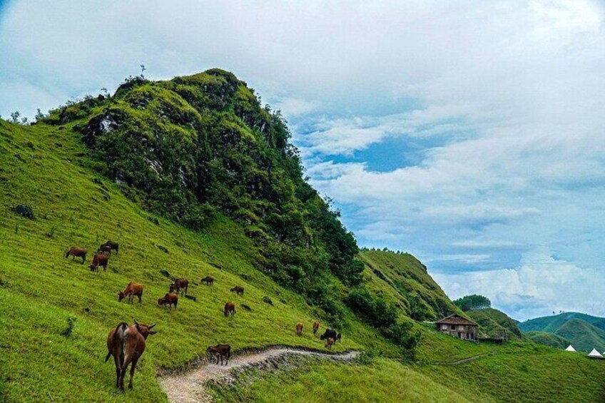 Loop Tours: Ha Giang + Cao Bang 5 Days 5 Nights Easy Rider