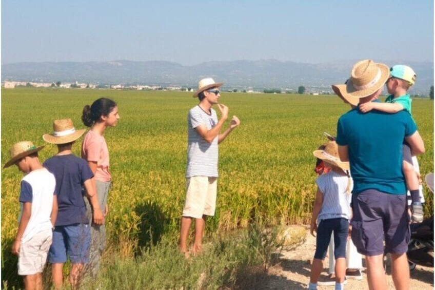 Visit Kenshô in the Agri-Environmental Ebro Delta