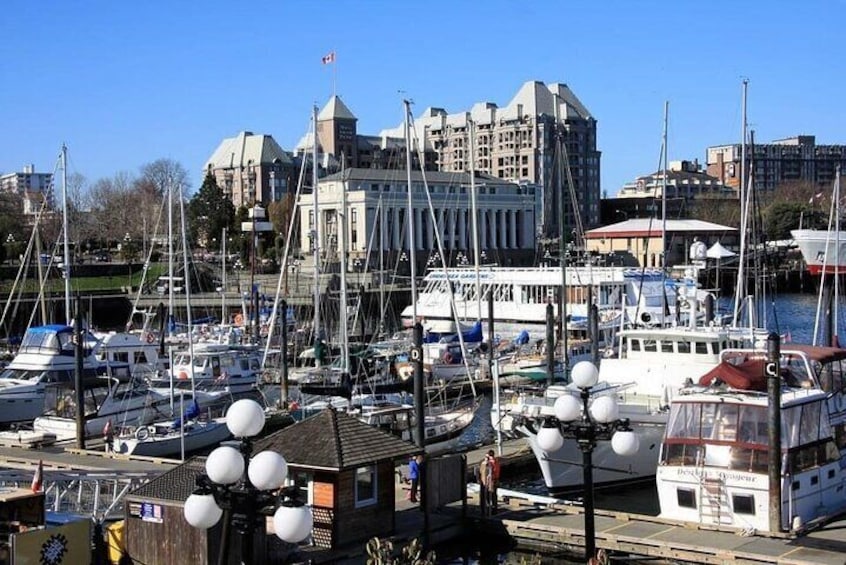 Victoria Family Tour with Kids