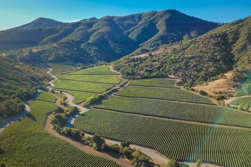 Private Colchagua Wine Experience: Premium Tour & Tasting