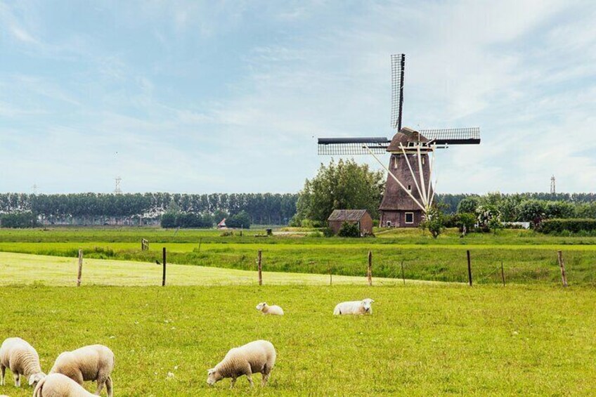 Typical Dutch Mill