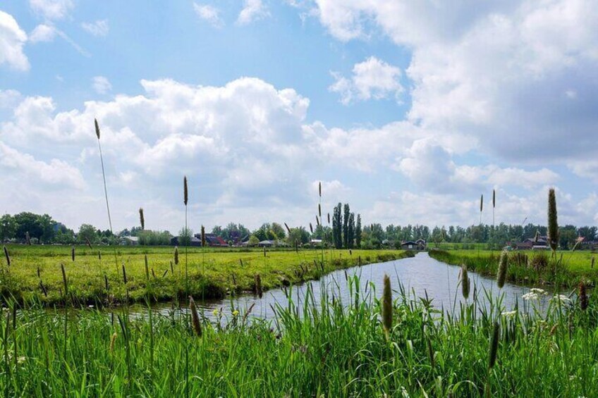 Beautiful Dutch landscape