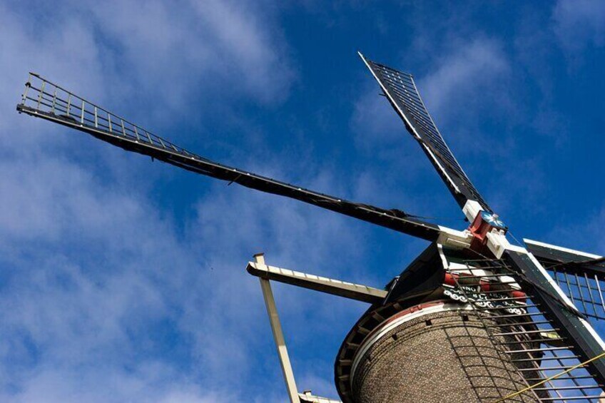 Mill Gouda
