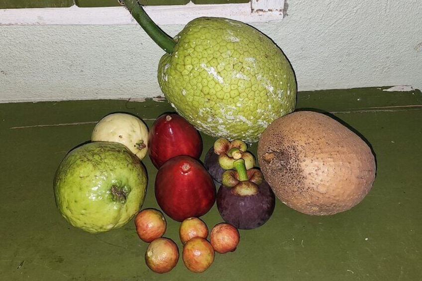 Soma Garden All Inclusive Tropical Fruit Farm Tour