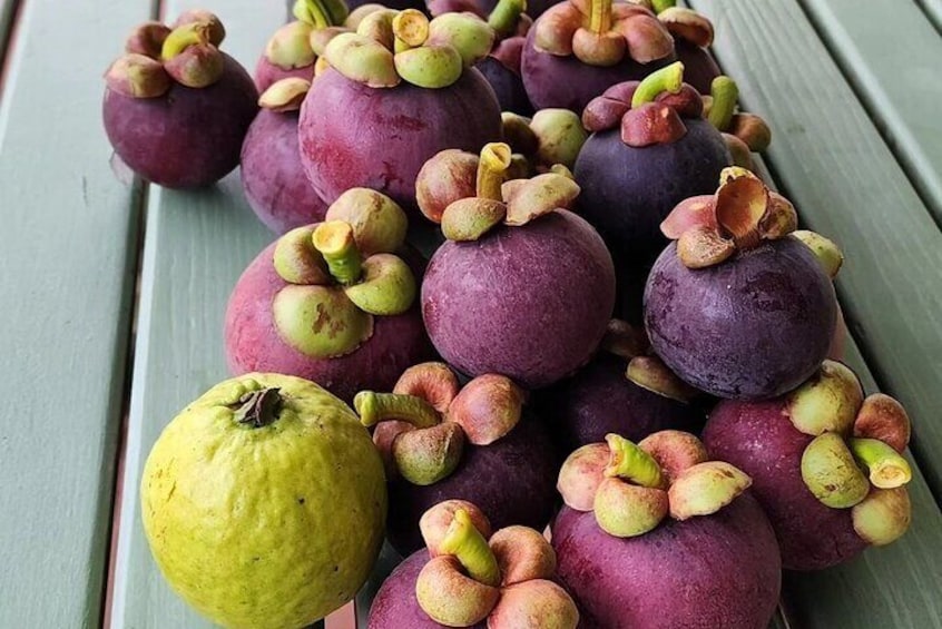 Soma Garden All Inclusive Tropical Fruit Farm Tour
