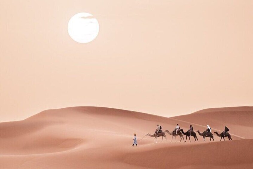 Vast and timeless, the Sahara Desert offers an experience like no other – a land of endless dunes and serene beauty.
