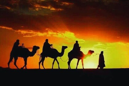 Luxury Agafay Tour: Private Transport, Camel Ride & Dinner