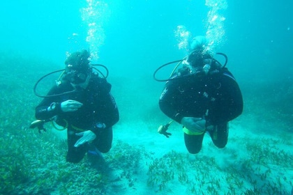 Oplev Scuba Diving