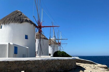 Private Mykonos Town Walking Tour And Islands Highlights