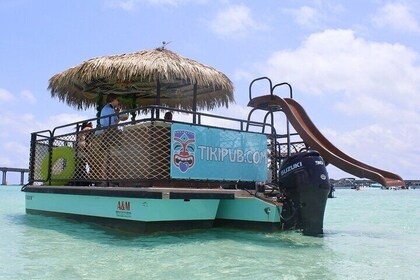 3 Hour Crab Island Sandbar Cruise