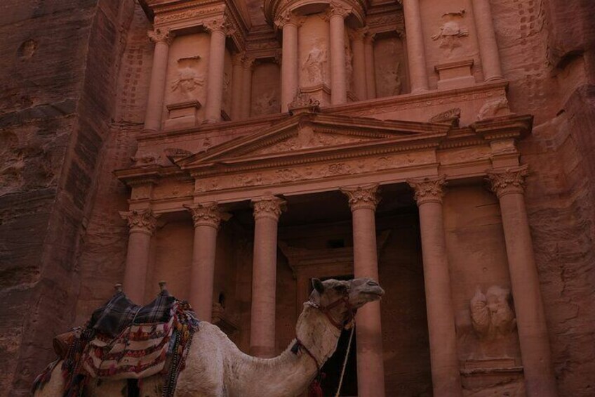 From Amman to Petra Wadi Rum Dead Sea 2 or 3 Days Private Tour