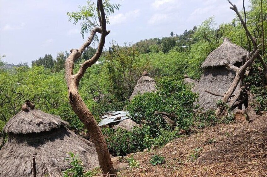  Exploring Ethiopia's Rich Heritage and Landscapescaps.