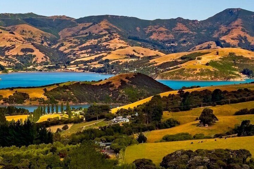 Akaroa Day Tour From Christchurch