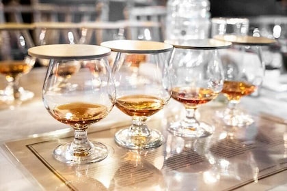 The Oliver tasting VIP & Taino Concept Store