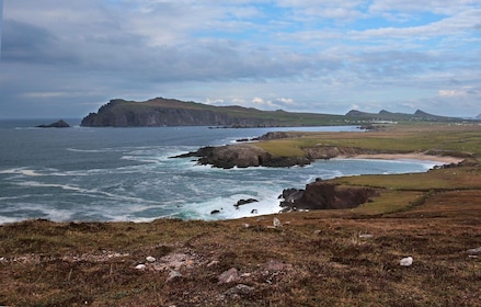 From Cork: Full-Day Guided Tour to Dingle Peninsula