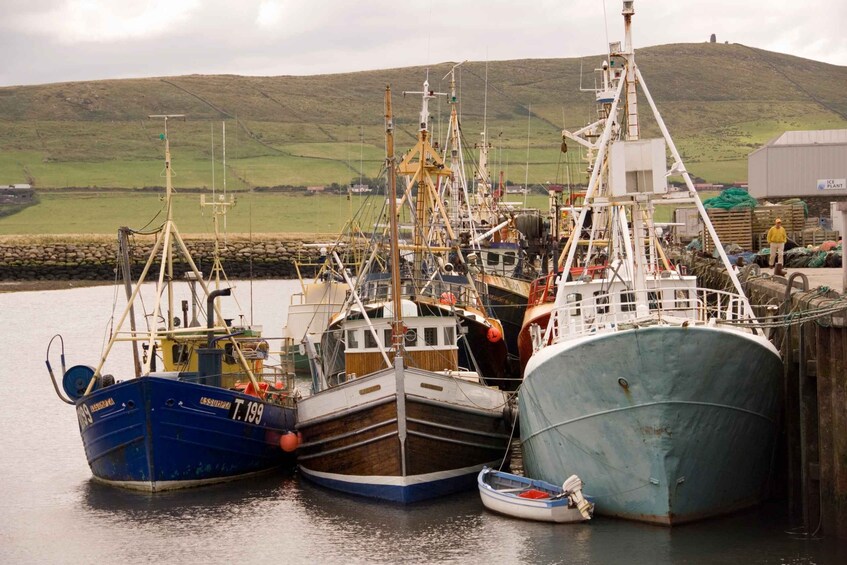 Picture 8 for Activity From Cork: Full-Day Guided Tour to Dingle Peninsula