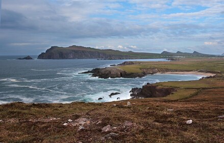 From Cork: Full-Day Guided Tour to Dingle Peninsula