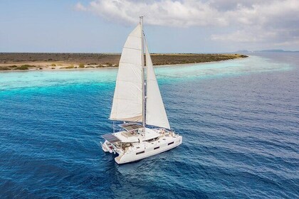2 停止潛水潛水