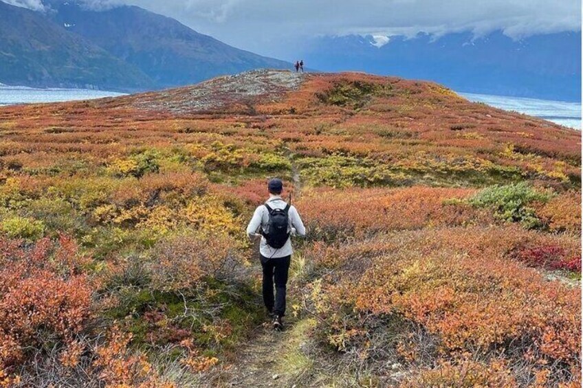 Heli Hiking in Seward