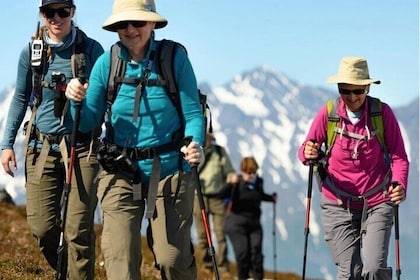 Heli Hiking in Seward