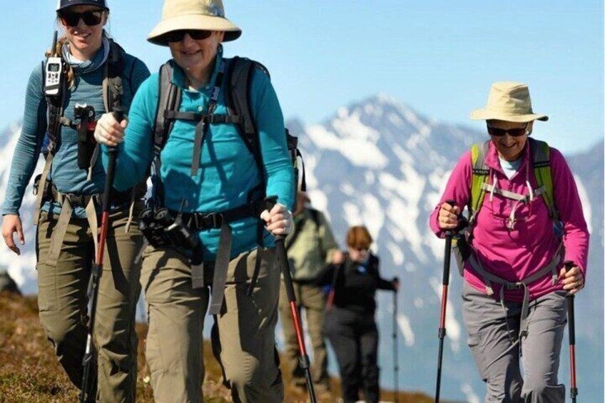 Heli Hiking in Seward