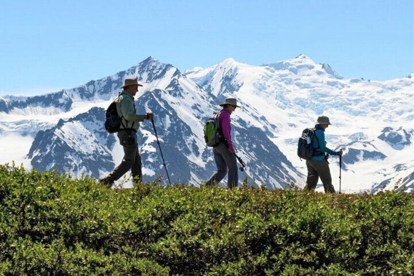 Heli Hiking in Seward
