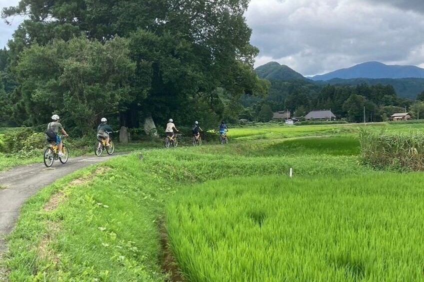Cycling around onsen towns and Satoyama
