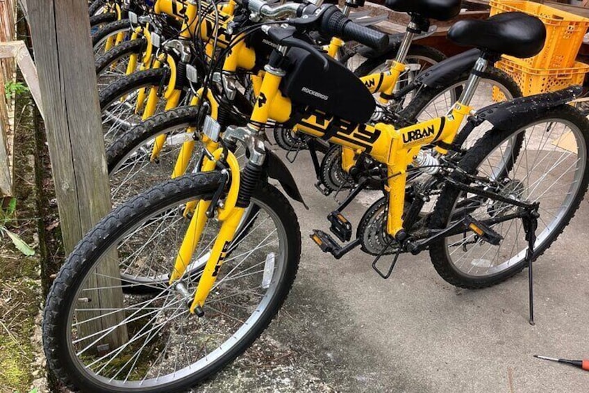 City Bike