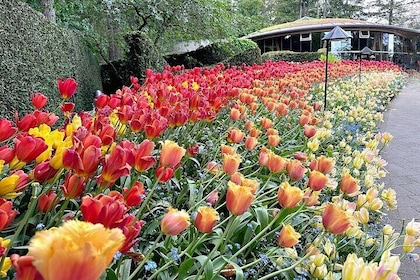 Victoria Butchart Gardens and City Private Luxury Tour