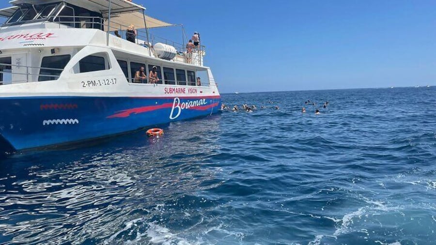 Swimming Tour by Gandía