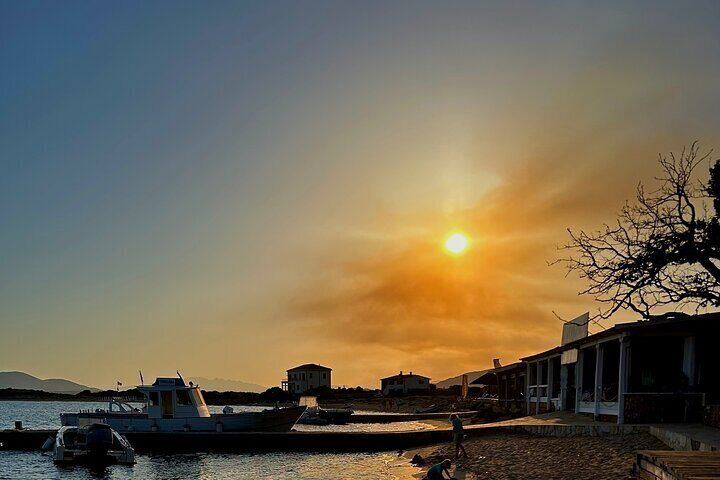 Private Dolphin Sighting Tour with Aperitif