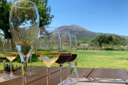 Biologische lunch met wijnproeverij uit Pompeii