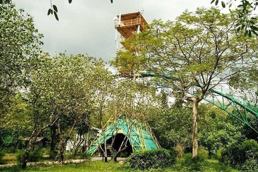 Private Adventure to Vam Sat Mangrove and Wildlife