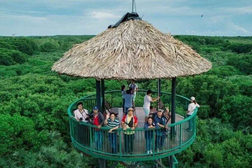 Private Adventure to Vam Sat Mangrove and Wildlife