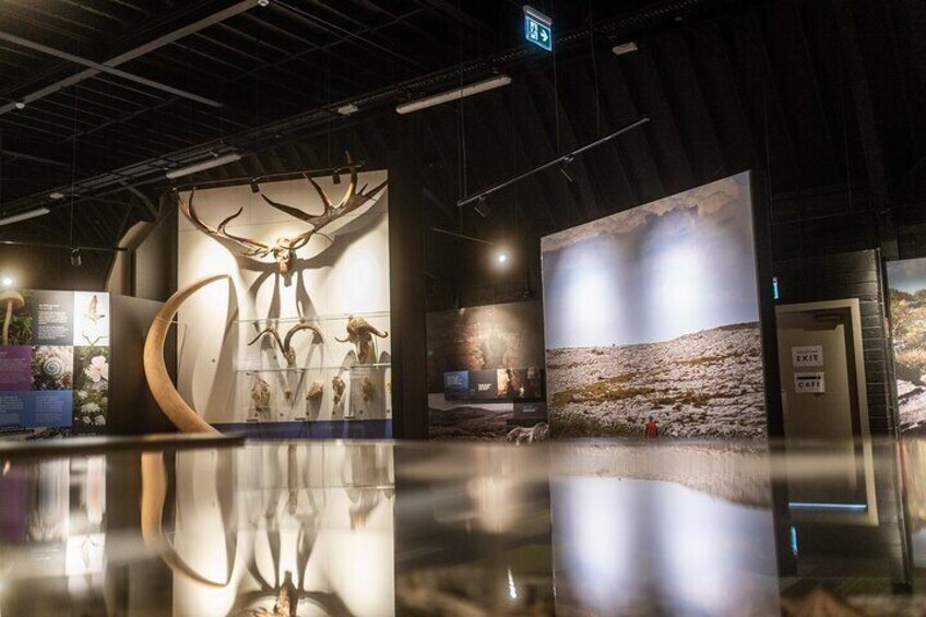 Exhibits