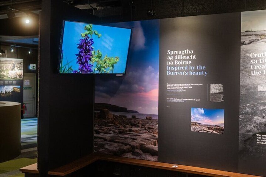 Exclusive Film on the Burren Landscape by Eamon de Buitlear