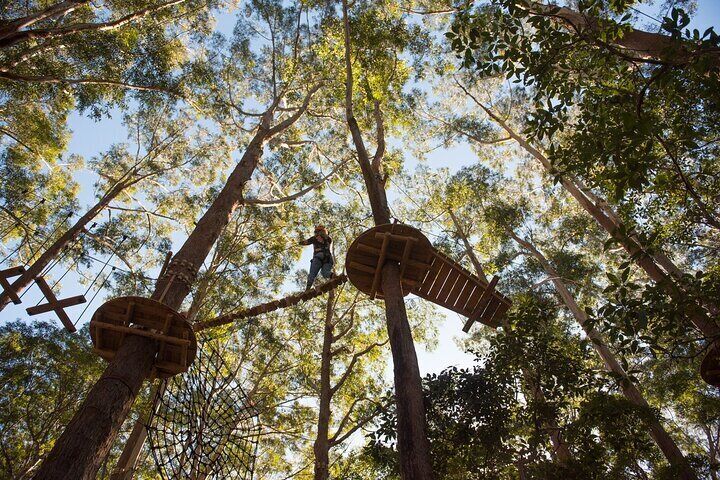 Western Sydney Tree Ropes Course 