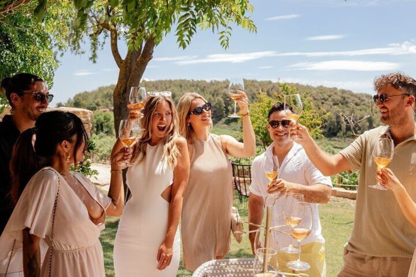 From Barcelona: Private Pink Tree Tour to Aitona and Lleida City