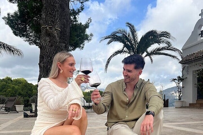 Alicante : Catas de Vinos & Tapas Privadas en 2 Bodegas Boutique
