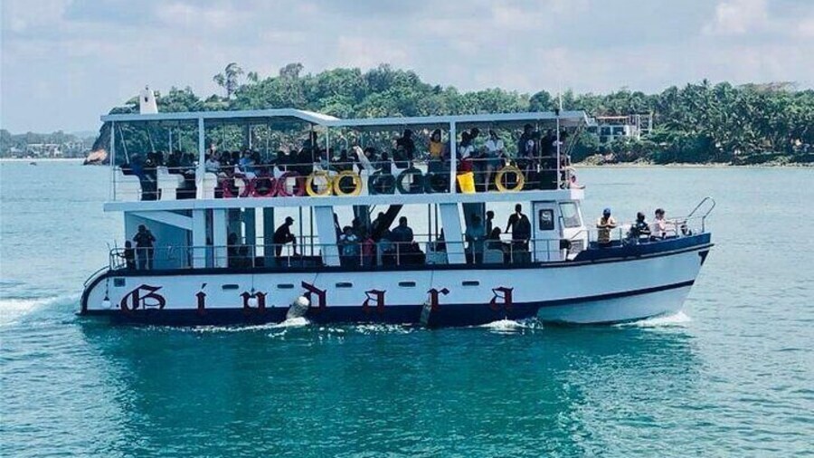 All Inclusive Mirissa Morning Whale Watching Boat Tour with Geeth