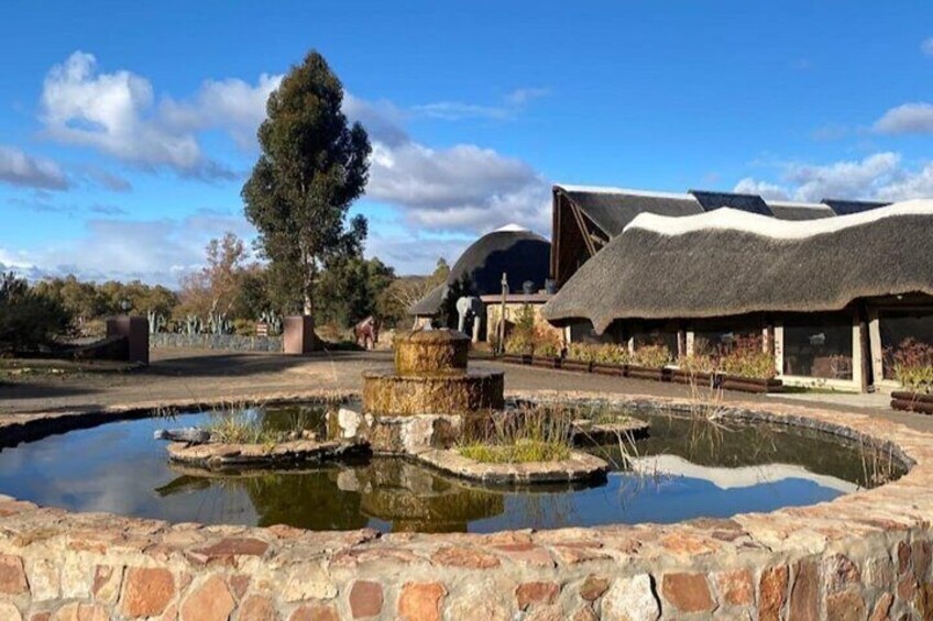From Cape Town Aquila Game Reserve Sunset Safari Inclusive