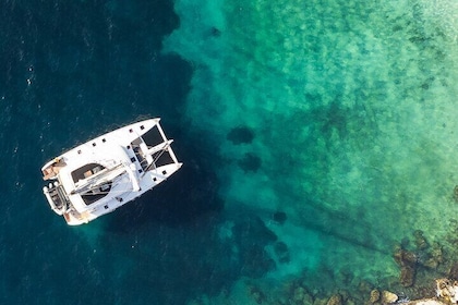 Mykonos Delos Rhenia Daily Cruise with BBQ on Board