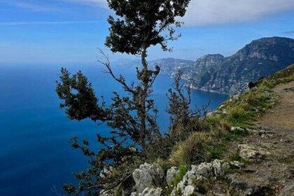 Shared Path of the Gods Tour