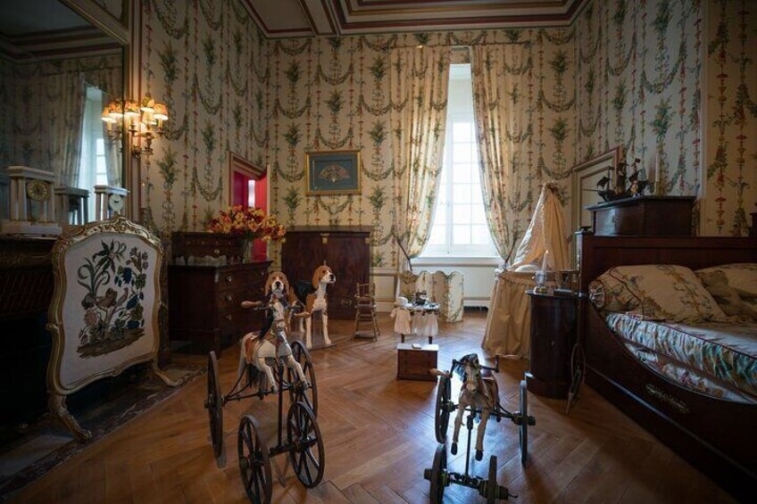 Loire Valley Private Tour from Paris: 4 Castles in a Day
