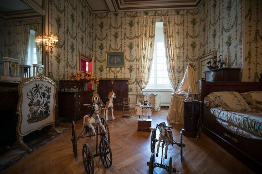 Loire Valley Private Tour from Paris: 4 Castles in a Day