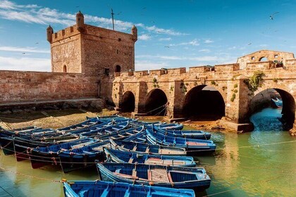 From Marrakech to Essaouira Day Trip Discovery