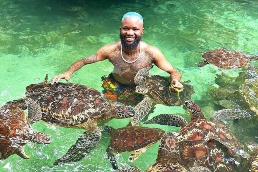 Full Day to Mnemba Island Baraka Natural Aquarium & Sunset Beach