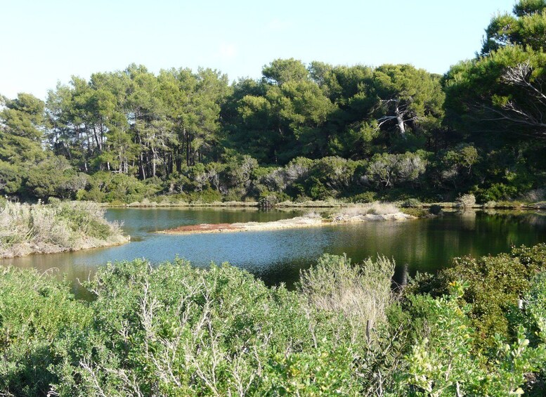 Picture 5 for Activity From Cannes: Ferry Tickets to Sainte-Marguerite Island