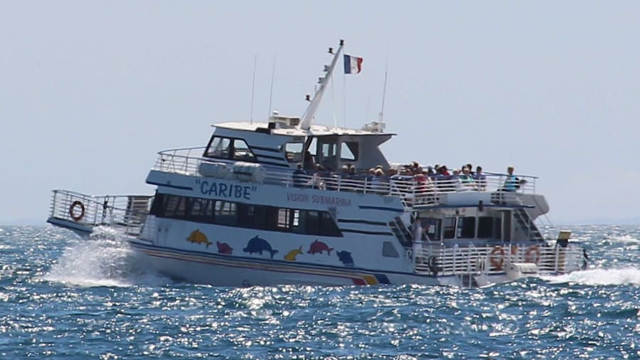 From Cannes: Ferry Tickets to Sainte-Marguerite Island