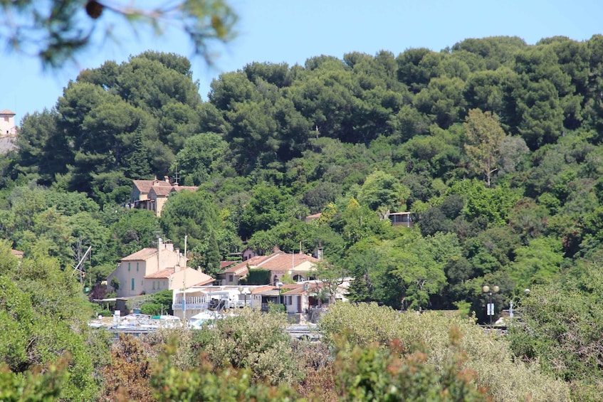 Picture 6 for Activity From Cannes: Ferry Tickets to Sainte-Marguerite Island